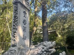 -灵谷景区