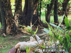 -晓港公园