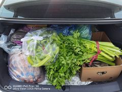 -大连果菜批发市场