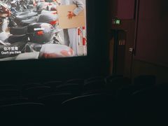 -华谊兄弟影院(IMAX洋桥店)