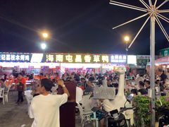 -盐禾堂海南屯昌香草鸭(总店)