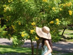 -深圳国际园林花卉博览园