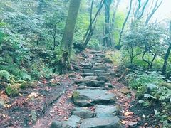 -沣峪口