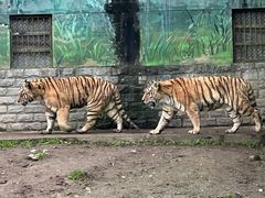 -西安秦岭野生动物园