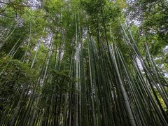 -汇龙潭