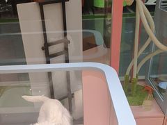 -FAELING PETS美天灵宠物(合生汇店)