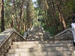 -四门塔风景区