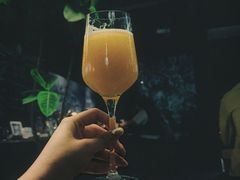 -MEDISN·药厂
