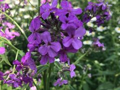 -贵阳市花溪国家城市湿地公园