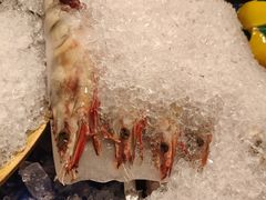 -炉胜·炉端烧·居酒屋