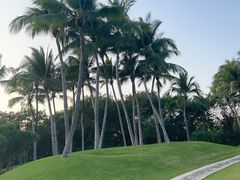 -大堂酒廊·亚龙湾万豪度假酒店