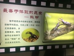 -上海昆虫博物馆