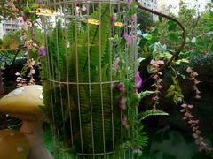 -花漫里·日式の创意餐厅(刺桐店)