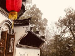-婺源风景区