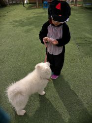 -萌宠亲子动物乐园(槐房万达店)