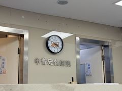 -申普宠物医院·心脏介入·心血管微创(总院)