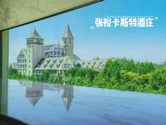 -张裕卡斯特酒庄