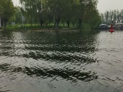 -白洋淀景区