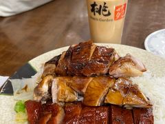 -桃苑烧腊饭店