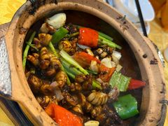 -天宝食坊·啫啫煲大排档(西华路店)