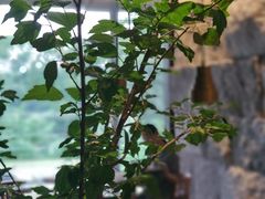 -木守西溪溪隐餐厅
