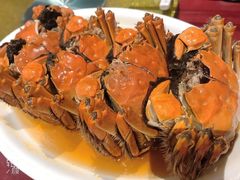 -老吉士酒家(天平路店)