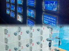 -报业大厦游泳馆