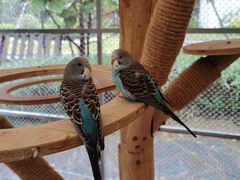 -珠海海泉湾神秘岛亲子乐园