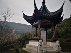 -雨花胜境