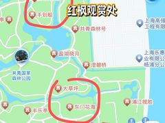 -上海共青森林公园