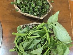 -岳记兴隆·青城腊排铜火锅(融创店)
