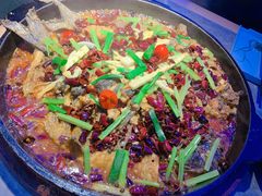 -老板恋上鱼(恒隆广场店)