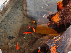 -老李家土菜馆·安吉地标美食