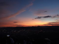 -长虫山生态公园风景林