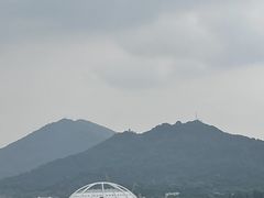 -紫金山山顶公园