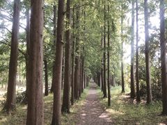 -上海长兴岛郊野公园