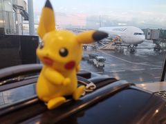 -戴高乐机场免税店(BuY PARIS DUTY FREE)