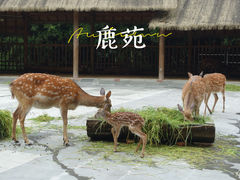 -金沙遗址博物馆