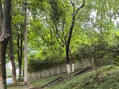-重庆彩云湖湿地公园
