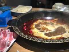 -肚社毛肚火锅