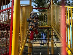 -上海海湾国家森林公园