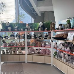 -IMON·HANSA潮玩玩偶毛绒玩具(通州万象汇店)