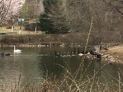 -长白岛森林公园