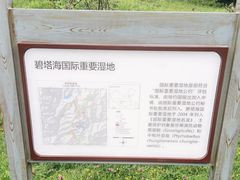 -碧塔海