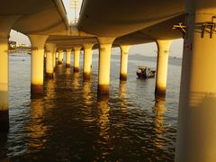 -演武大桥观景平台