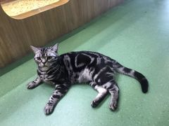 -藦茜花园宠物主题亲子互动体验馆(国顺东路店)