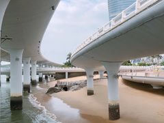 -演武大桥观景平台