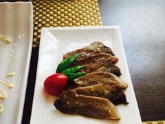 青叶日本料理(阳光广场店)-青叶日式料理(飘亮阳光广场店)