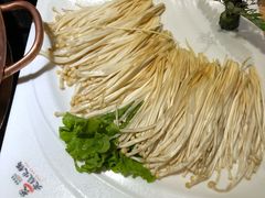 -老版火锅(半坡店)