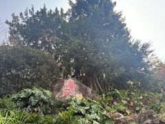 -乌山风景区